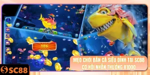 Ảnh đại diện mẹo chơi bắn cá siêu đỉnh