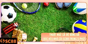 Ảnh đại diện thuật ngữ cá độ bóng đá